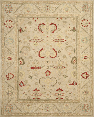 Safavieh Anatolia An570 Beige/Beige Area Rug Main