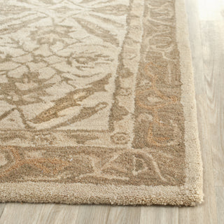 Safavieh Anatolia An583 Ivory/Brown Area Rug Detail