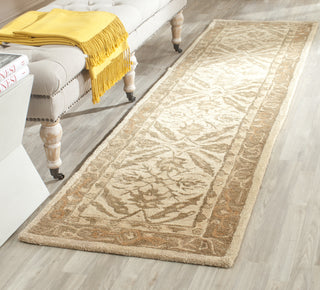 Safavieh Anatolia An583 Ivory/Brown Area Rug Room Scene Feature