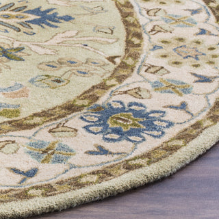 Safavieh Anatolia 585 Ivory/Beige Area Rug Detail