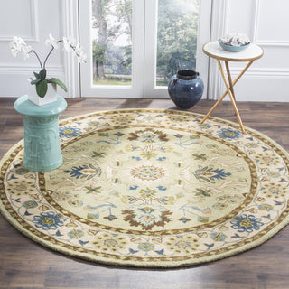 Safavieh Anatolia 585 Ivory/Beige Area Rug Room Scene