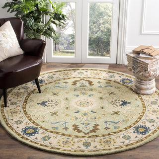 Safavieh Anatolia 585 Ivory/Beige Area Rug  Feature