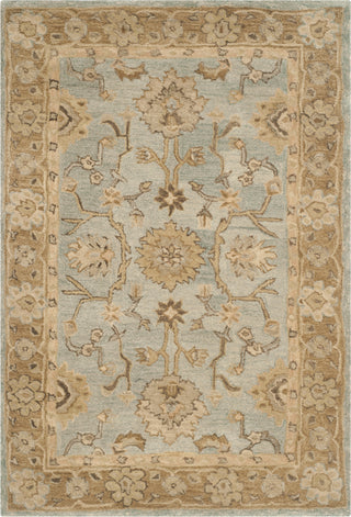 Safavieh Anatolia 585 Light Blue/Taupe Area Rug main image