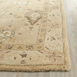 Safavieh Anatolia An587 Beige/Beige Area Rug Detail