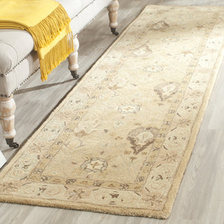 Safavieh Anatolia An587 Beige/Beige Area Rug Room Scene Feature