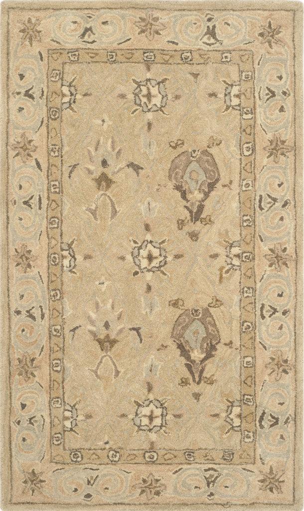 Safavieh Anatolia An587 Beige/Beige Area Rug main image