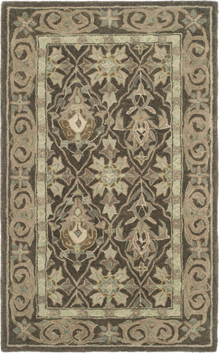 Safavieh Anatolia An587 Brown/Beige Area Rug main image