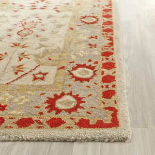 Safavieh Anatolia An589 Ivory/Light Green Area Rug Detail