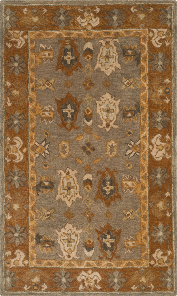 Safavieh Anatolia An590 Light Grey/Gold Area Rug main image