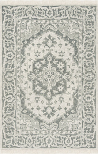 Safavieh Aspen 122 Grey/Light Grey Area Rug main image