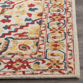 Safavieh Aspen 705 Ivory/Multi Area Rug Detail