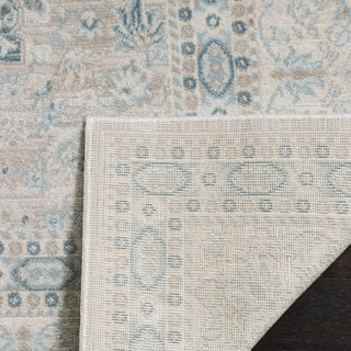 Safavieh Archive ARC671A Grey/Blue Area Rug