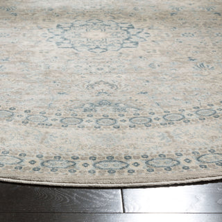 Safavieh Archive ARC671A Grey/Blue Area Rug