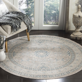 Safavieh Archive ARC671A Grey/Blue Area Rug