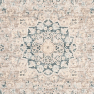 Safavieh Archive ARC671A Grey/Blue Area Rug