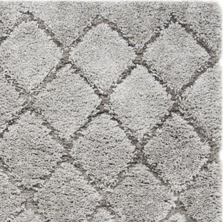 Safavieh Adriana Shag ARG780B Light Grey/Light Grey Area Rug