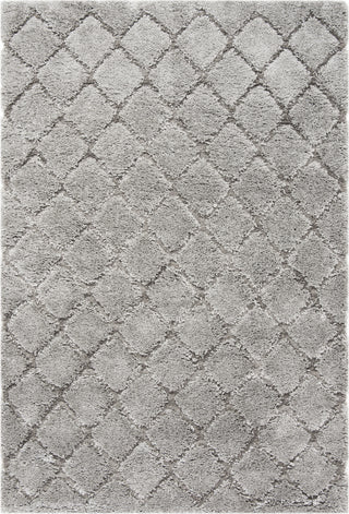 Safavieh Adriana Shag ARG780B Light Grey/Light Grey Area Rug