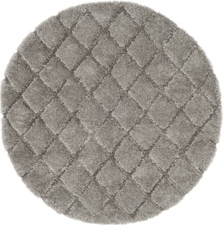 Safavieh Adriana Shag ARG780B Light Grey/Light Grey Area Rug