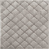 Safavieh Adriana Shag ARG780B Light Grey/Light Grey Area Rug
