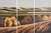 Safavieh Harvest Dreams Triptych Wall Art Assorted main image