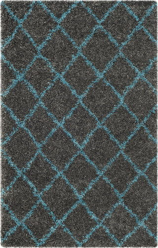 Safavieh Arizona Shag ASG742K Grey/Turquoise Area Rug