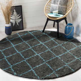 Safavieh Arizona Shag ASG742K Grey/Turquoise Area Rug