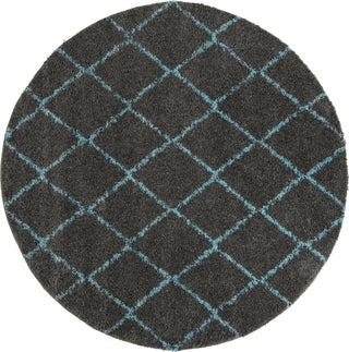 Safavieh Arizona Shag ASG742K Grey/Turquoise Area Rug