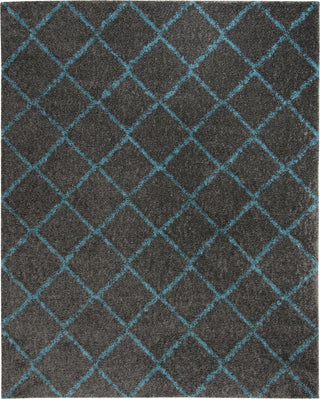 Safavieh Arizona Shag ASG742K Grey/Turquoise Area Rug