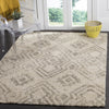 Safavieh Arizona Shag ASG746G Ivory/Grey Area Rug