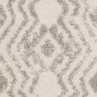 Safavieh Arizona Shag ASG746G Ivory/Grey Area Rug