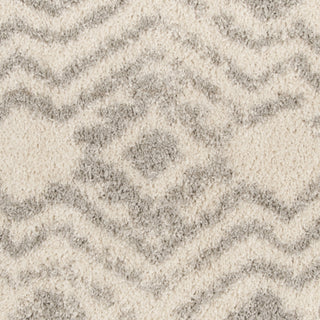 Safavieh Arizona Shag ASG746G Ivory/Grey Area Rug