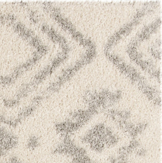 Safavieh Arizona Shag ASG746G Ivory/Grey Area Rug