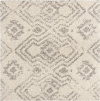 Safavieh Arizona Shag ASG746G Ivory/Grey Area Rug