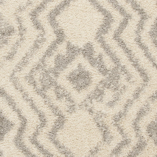 Safavieh Arizona Shag ASG746G Ivory/Grey Area Rug