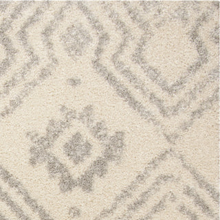 Safavieh Arizona Shag ASG746G Ivory/Grey Area Rug