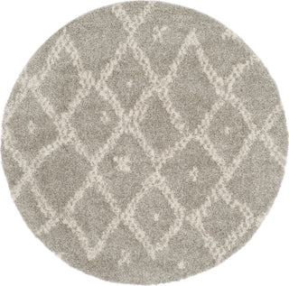 Safavieh Arizona Shag ASG747D Grey/Ivory Area Rug