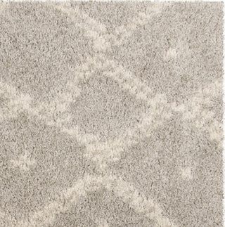 Safavieh Arizona Shag ASG747D Grey/Ivory Area Rug