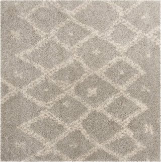 Safavieh Arizona Shag ASG747D Grey/Ivory Area Rug