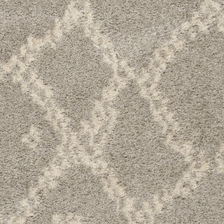 Safavieh Arizona Shag ASG747D Grey/Ivory Area Rug