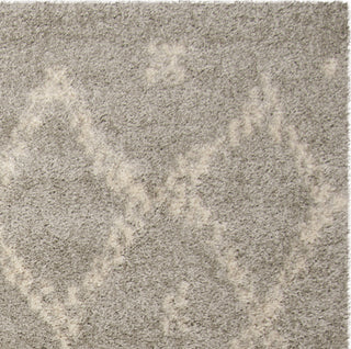 Safavieh Arizona Shag ASG747D Grey/Ivory Area Rug