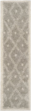 Safavieh Arizona Shag ASG748D Grey/Ivory Area Rug