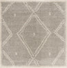 Safavieh Arizona Shag ASG748D Grey/Ivory Area Rug