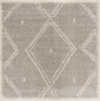 Safavieh Arizona Shag ASG748D Grey/Ivory Area Rug