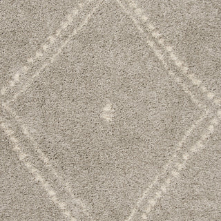 Safavieh Arizona Shag ASG748D Grey/Ivory Area Rug