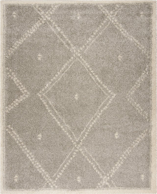 Safavieh Arizona Shag ASG748D Grey/Ivory Area Rug