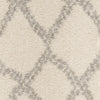 Safavieh Arizona Shag ASG749G Ivory/Grey Area Rug