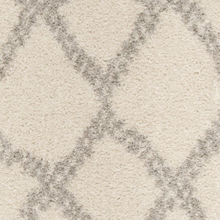 Safavieh Arizona Shag ASG749G Ivory/Grey Area Rug