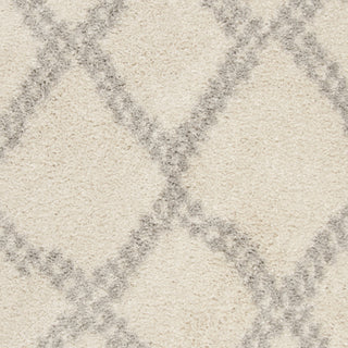 Safavieh Arizona Shag ASG749G Ivory/Grey Area Rug