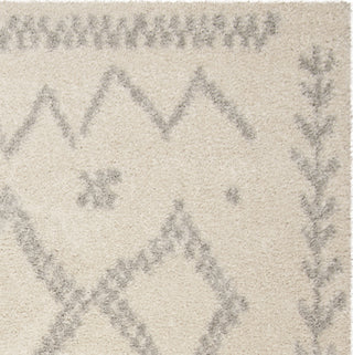 Safavieh Arizona Shag ASG749G Ivory/Grey Area Rug