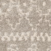 Safavieh Arizona Shag ASG750D Grey/Ivory Area Rug